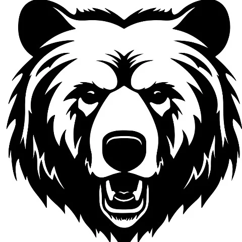 JalilBear