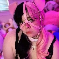 lxSmolKittenxl