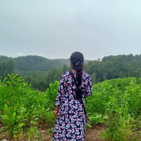 SAFI TV photo